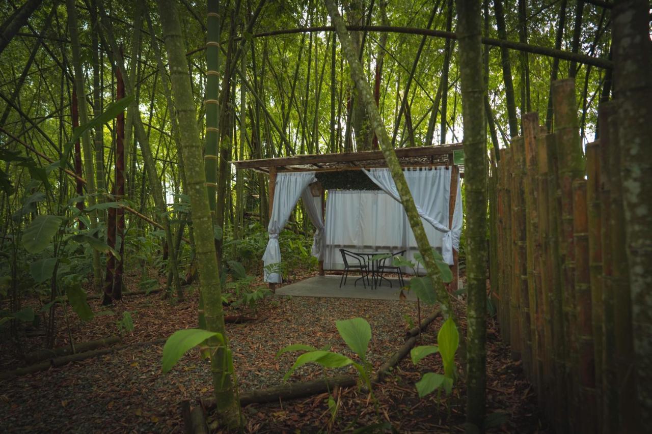 Amanatu Ecolodge & Spa Quimbaya Exterior photo